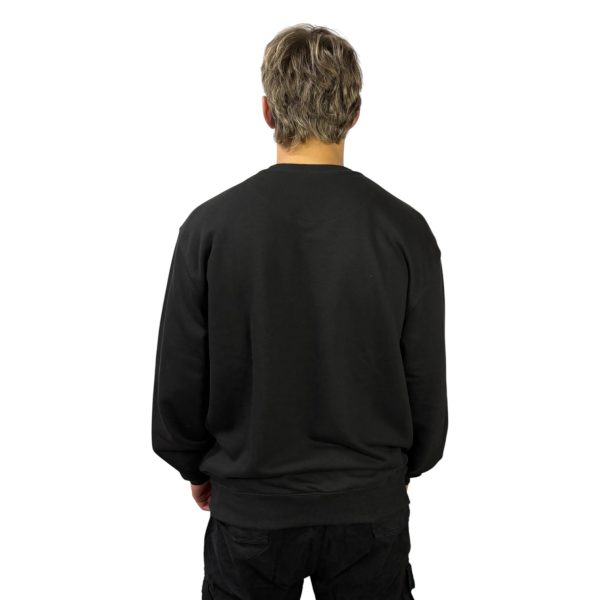 BUZO LOTUS OVERSIZE RUSTICO BANDERAS - Imagen 3